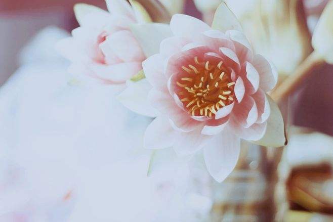 論文中目錄的作用是什么，如何生成正確的目錄？