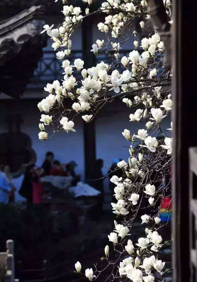 工業(yè)設(shè)計(jì)產(chǎn)品設(shè)計(jì)畢業(yè)論文查重及寫(xiě)作要求