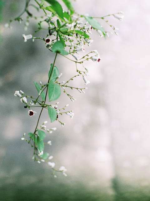 語文課堂教學(xué)的有效性教育論文范文